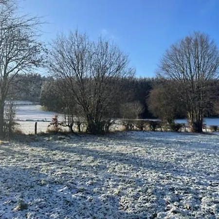 Le Bouvreuil